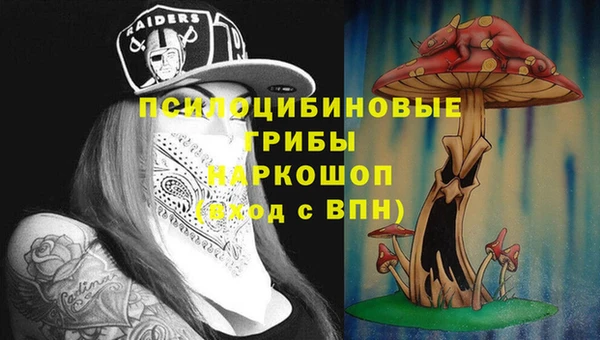 mdpv Арсеньев