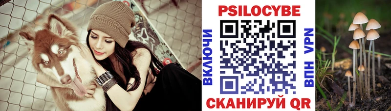 где можно купить   kraken как зайти  Галлюциногенные грибы Psilocybine cubensis  Октябрьск 